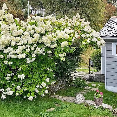 6 Person In Ferienhaus *